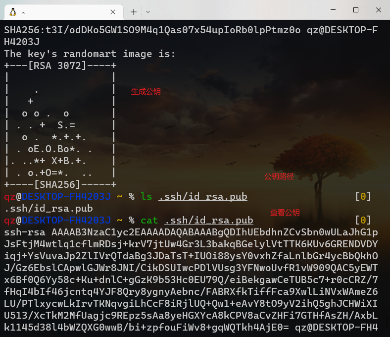 image-20221102223914914